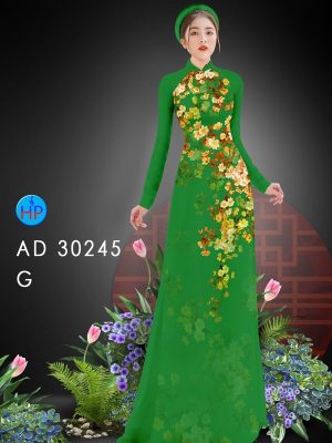 1607738800 509 vai ao dai dep (2)